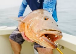 Fishing Highlights - Panama