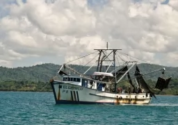 Fishing Report - Costa Rica
