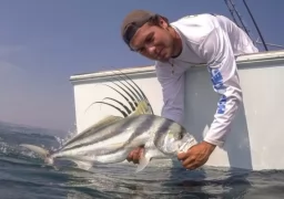 ROOSTERFISH