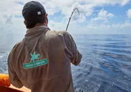 Costa Rica UNREAL Deep Fishing